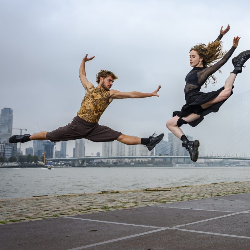 O:28:"craft\elements\db\AssetQuery":96:{s:27:"